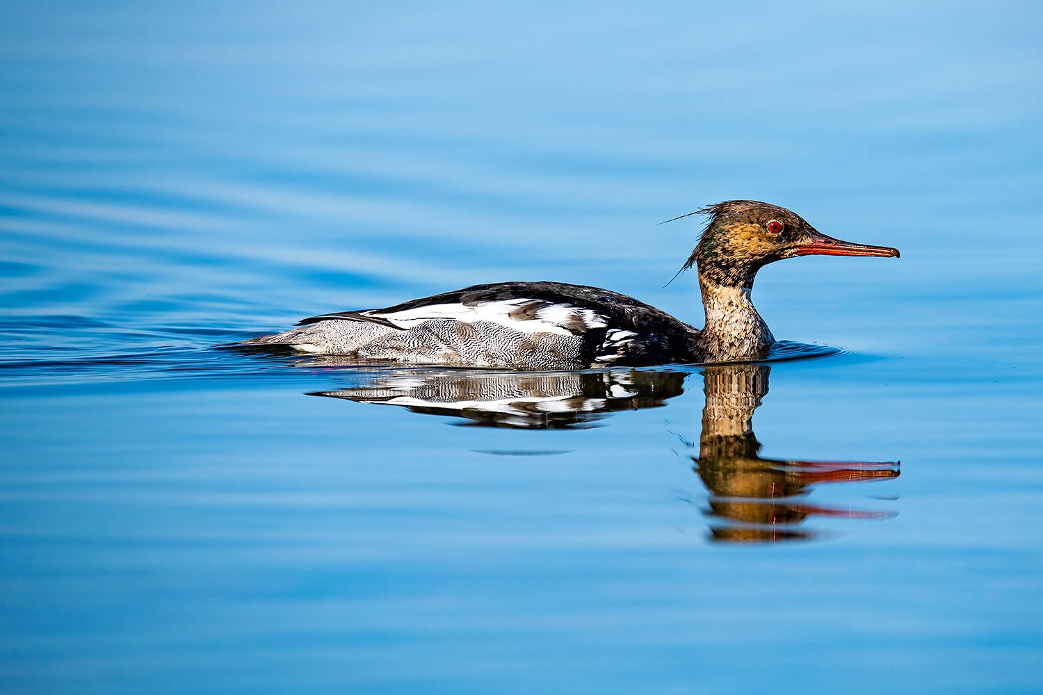 , Абросимов Александр
