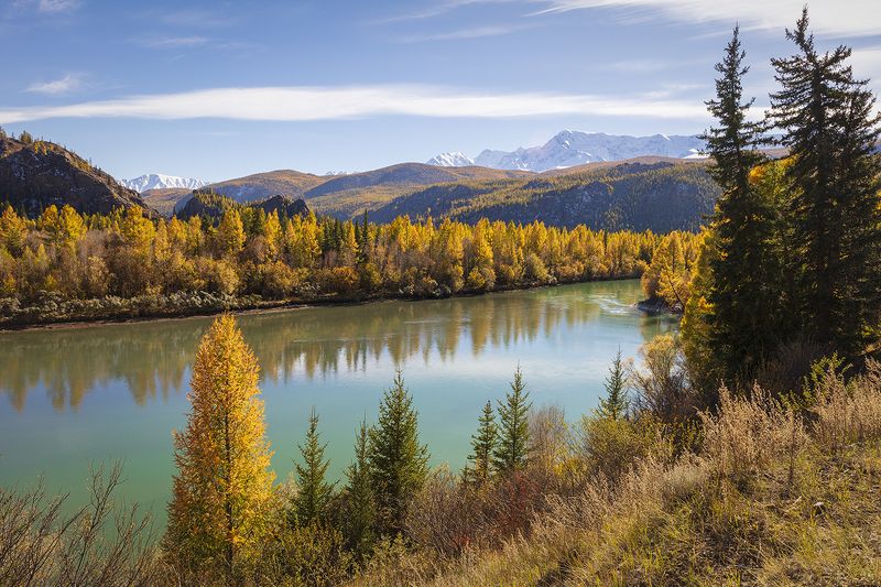 осень, алтай, горный алтай, чуя, пейзаж, Осенний наряд Алтая. фото превью