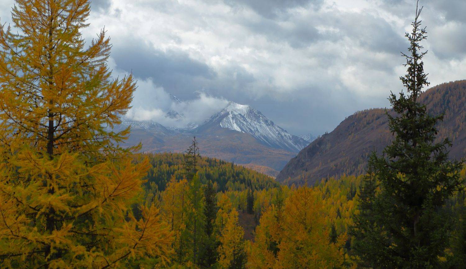 , Евгений Зинов