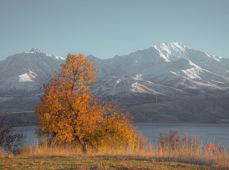 узбекистан, чарвакское водохранилище  фото превью