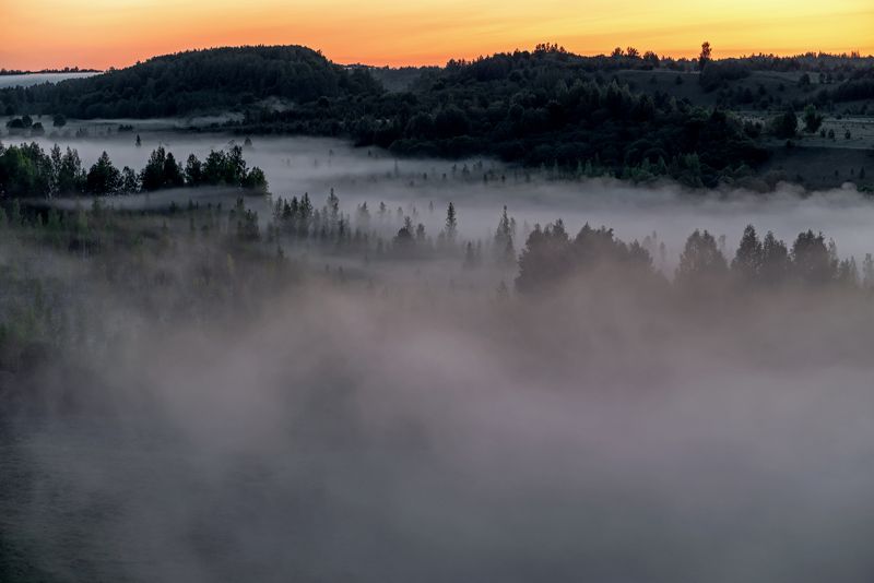 Туманное утро фото превью