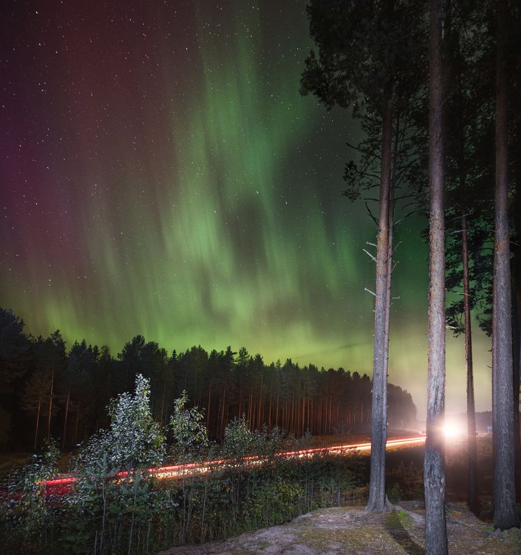 Aurora фото превью