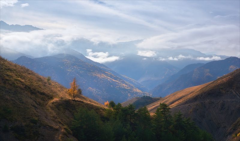 ингушетия, горы, осень *** фото превью