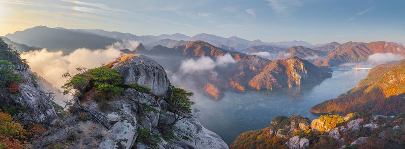 Strength of a nest фото превью