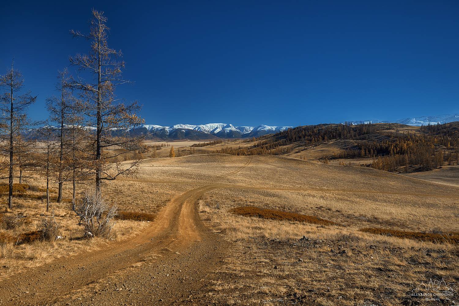 , Чехонин Александр