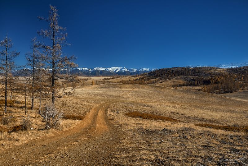 В Курайской степи фото превью
