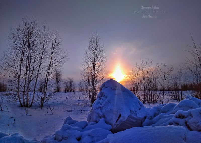 пейзаж, природа, сосны, осень, солнце, закат, снег Западная Сибирь. Закат. фото превью