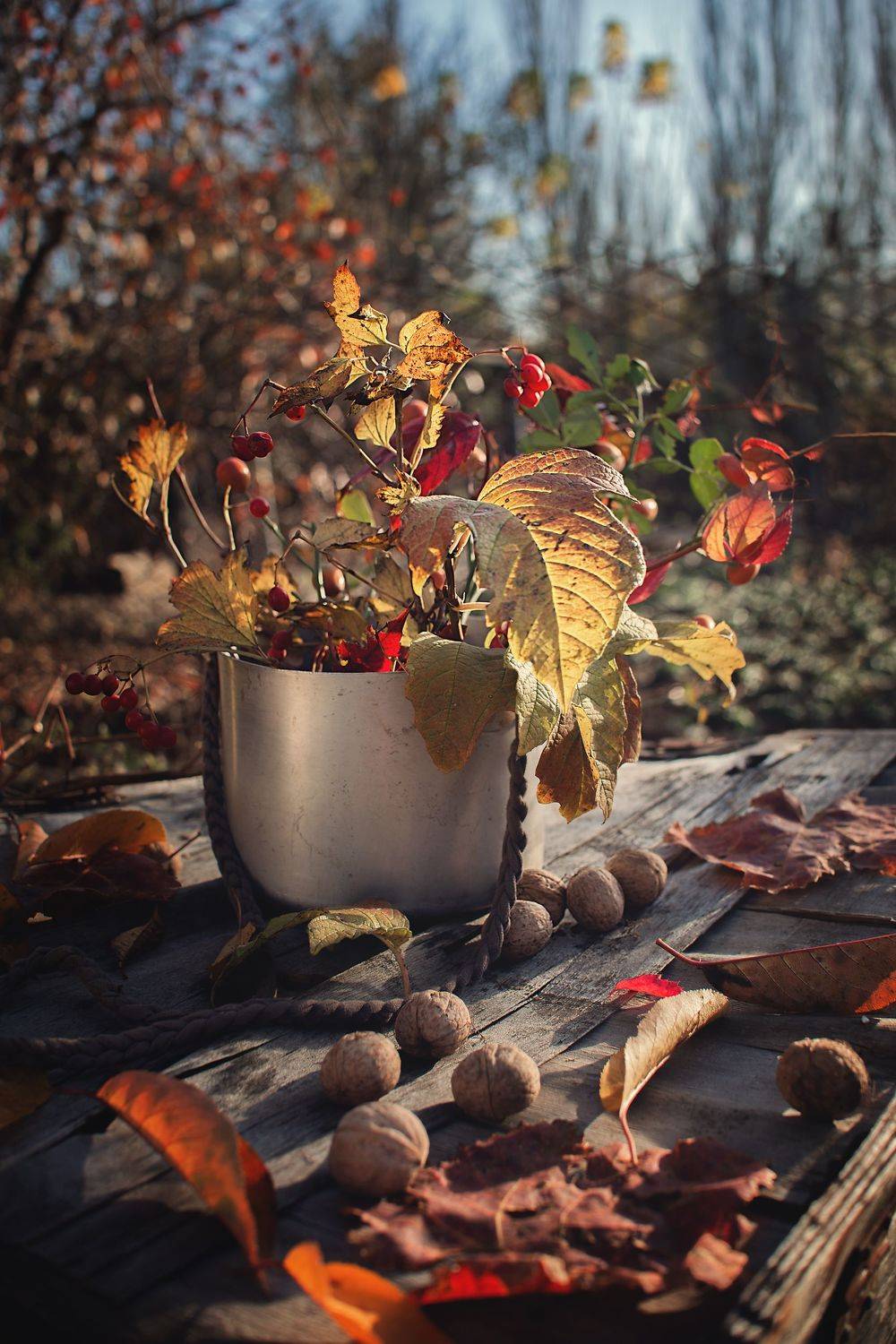 , Романова Инга