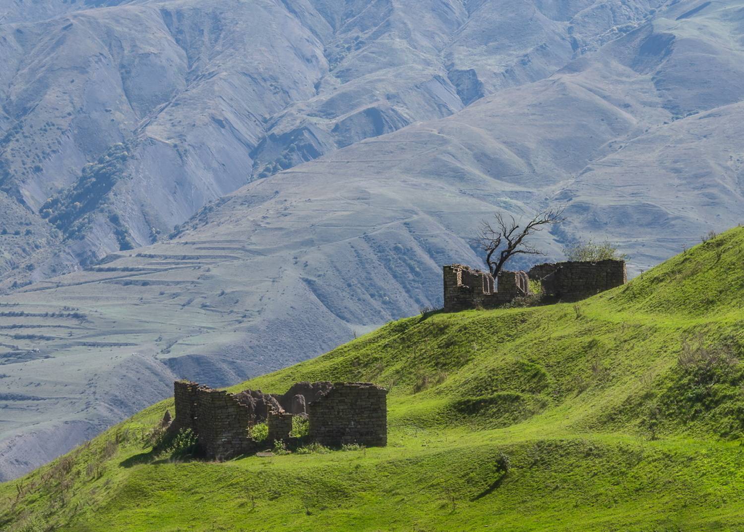 , Евгений Важенин