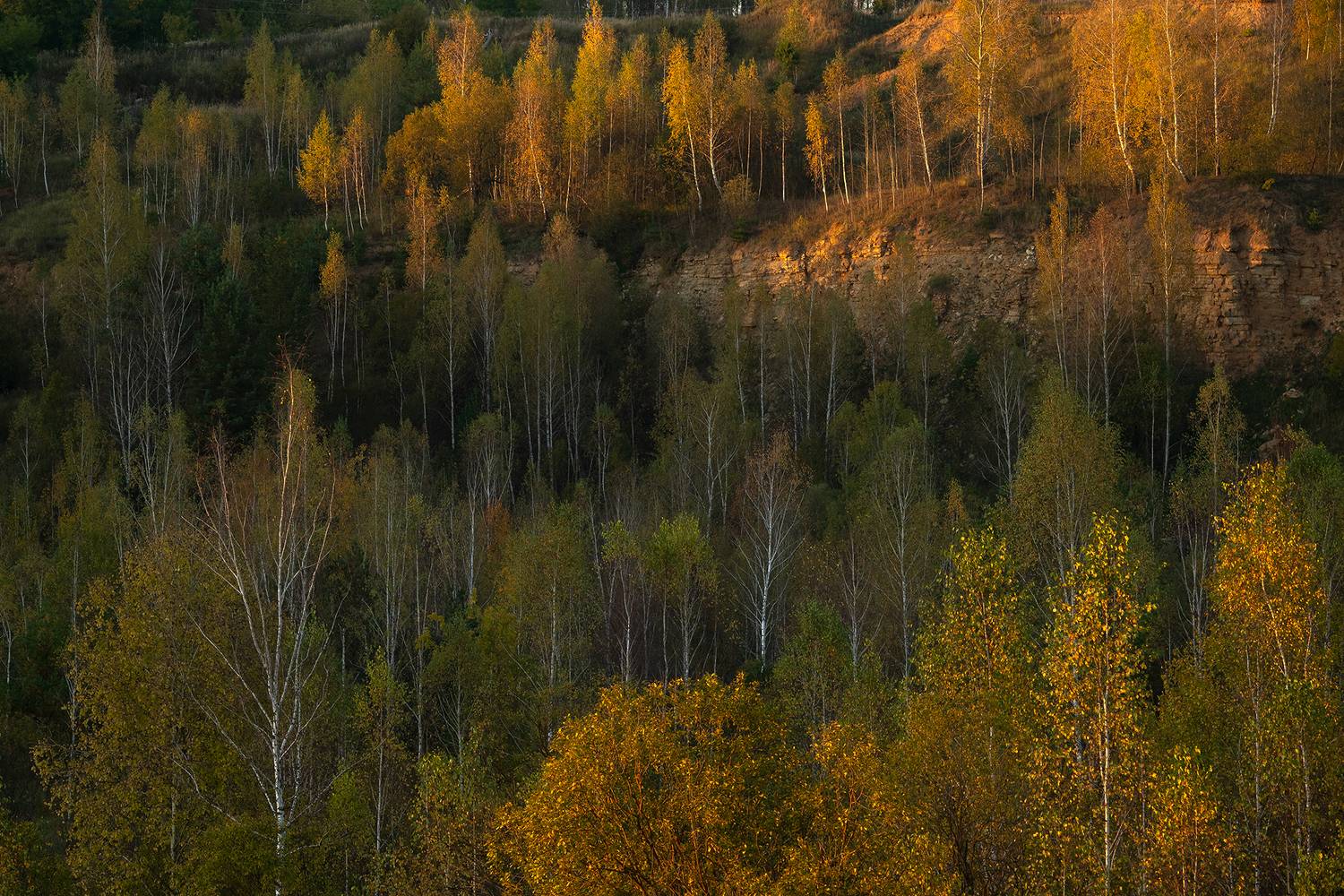 , Стрельцов Виталий