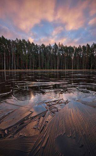 первый лёд на лесном озере
