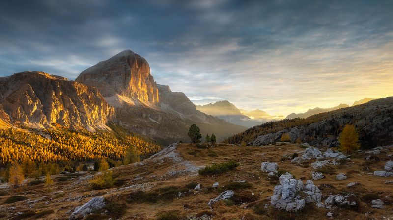 sunrise Tofana di Rozes фото превью