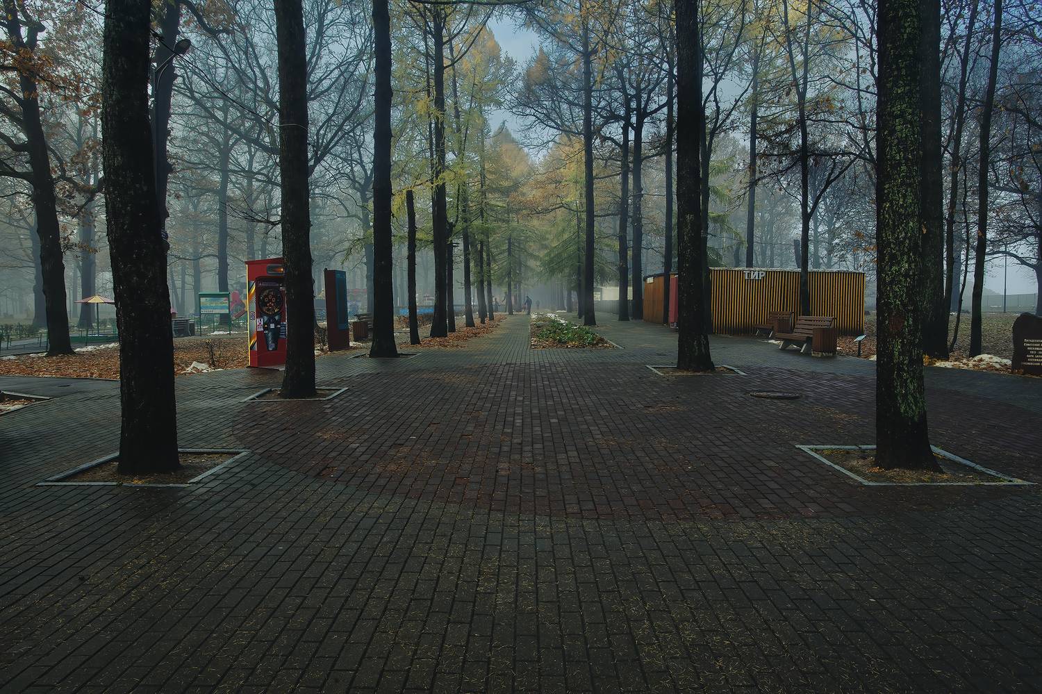 парк подновили, Васенков Геннадий