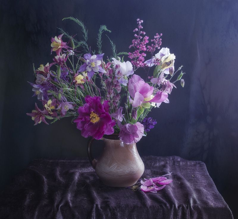 букет,аквиления,свет,цвет,натюрморт,цветы *** фото превью