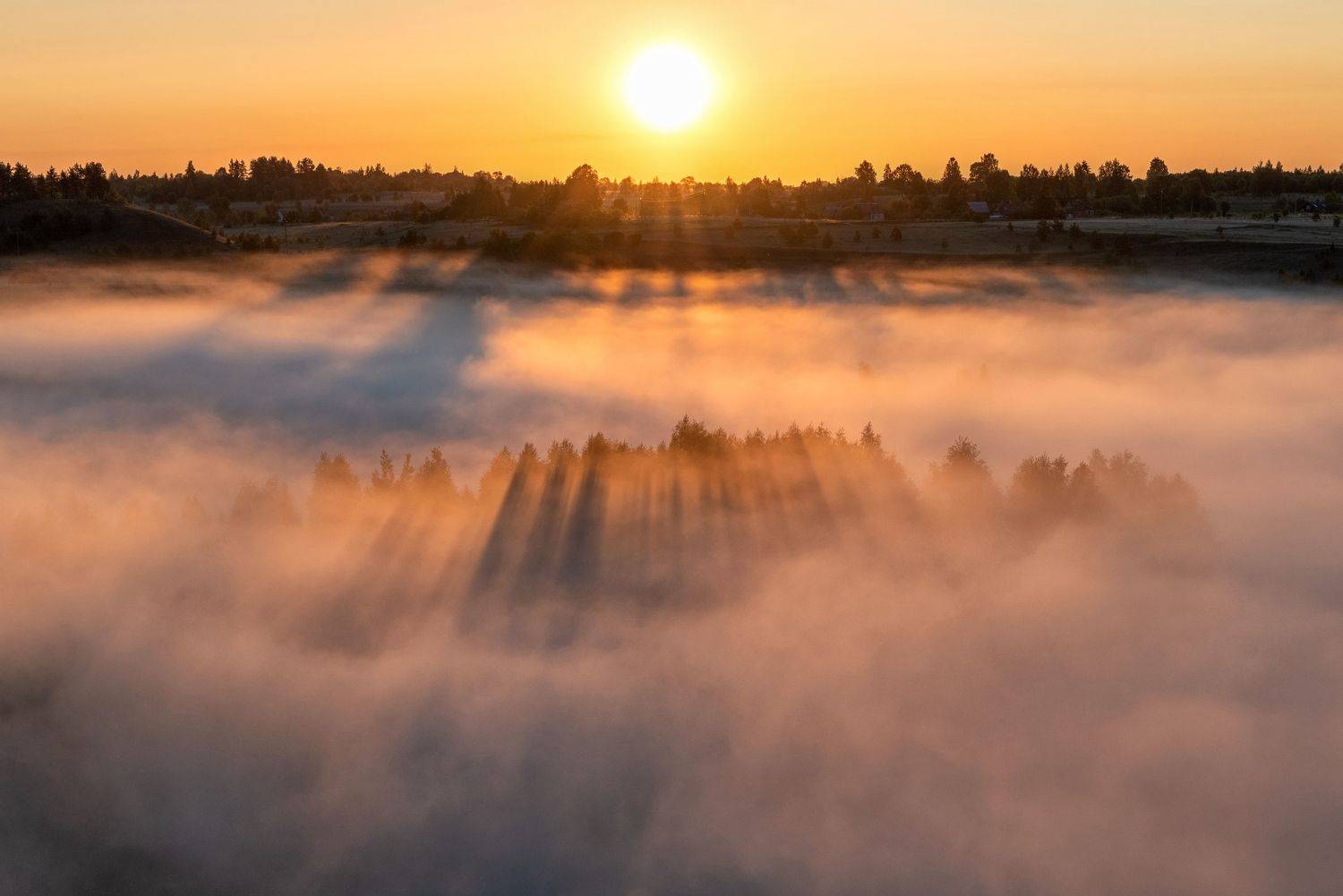 , Виктор Желенговский