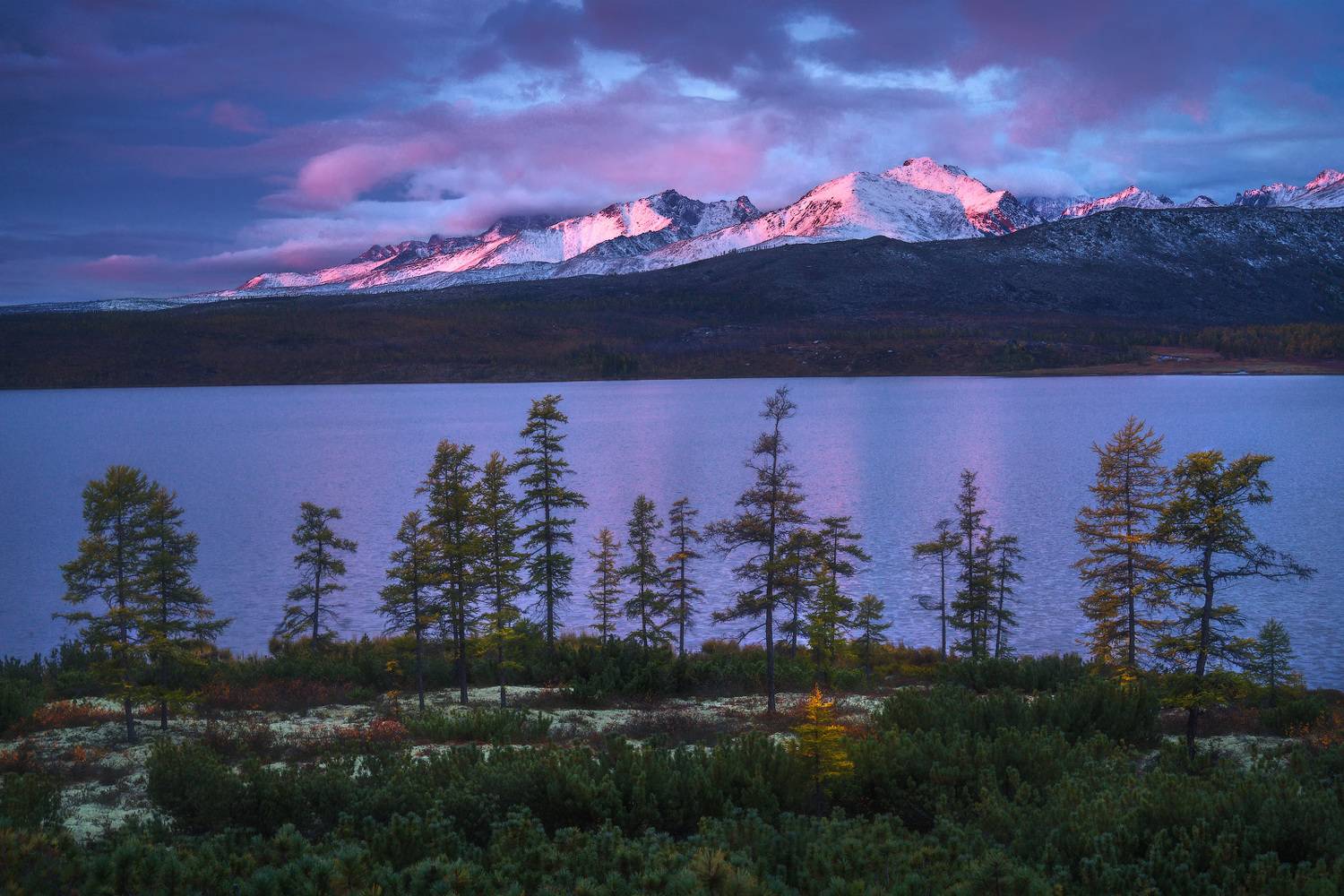 , Владимир Ляпин