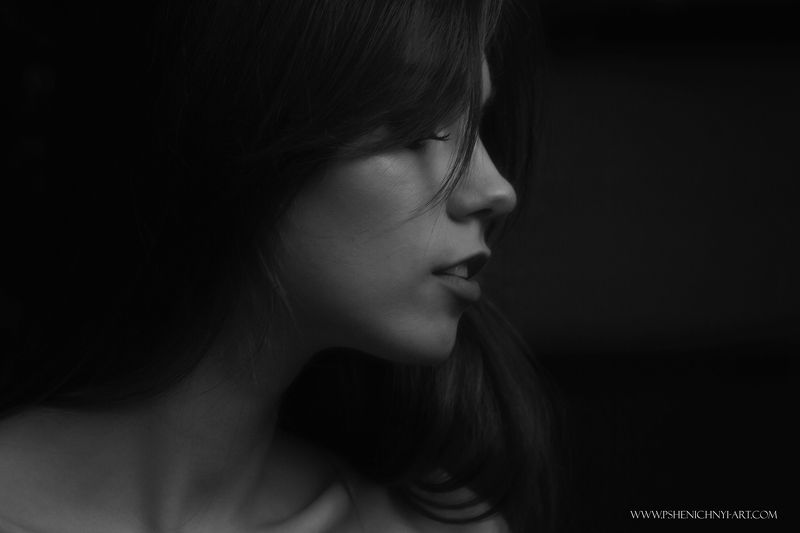 портрет, вечер, свет, силуэт, женский портрет, девушка, монохорм Вечерний силуэт фото превью