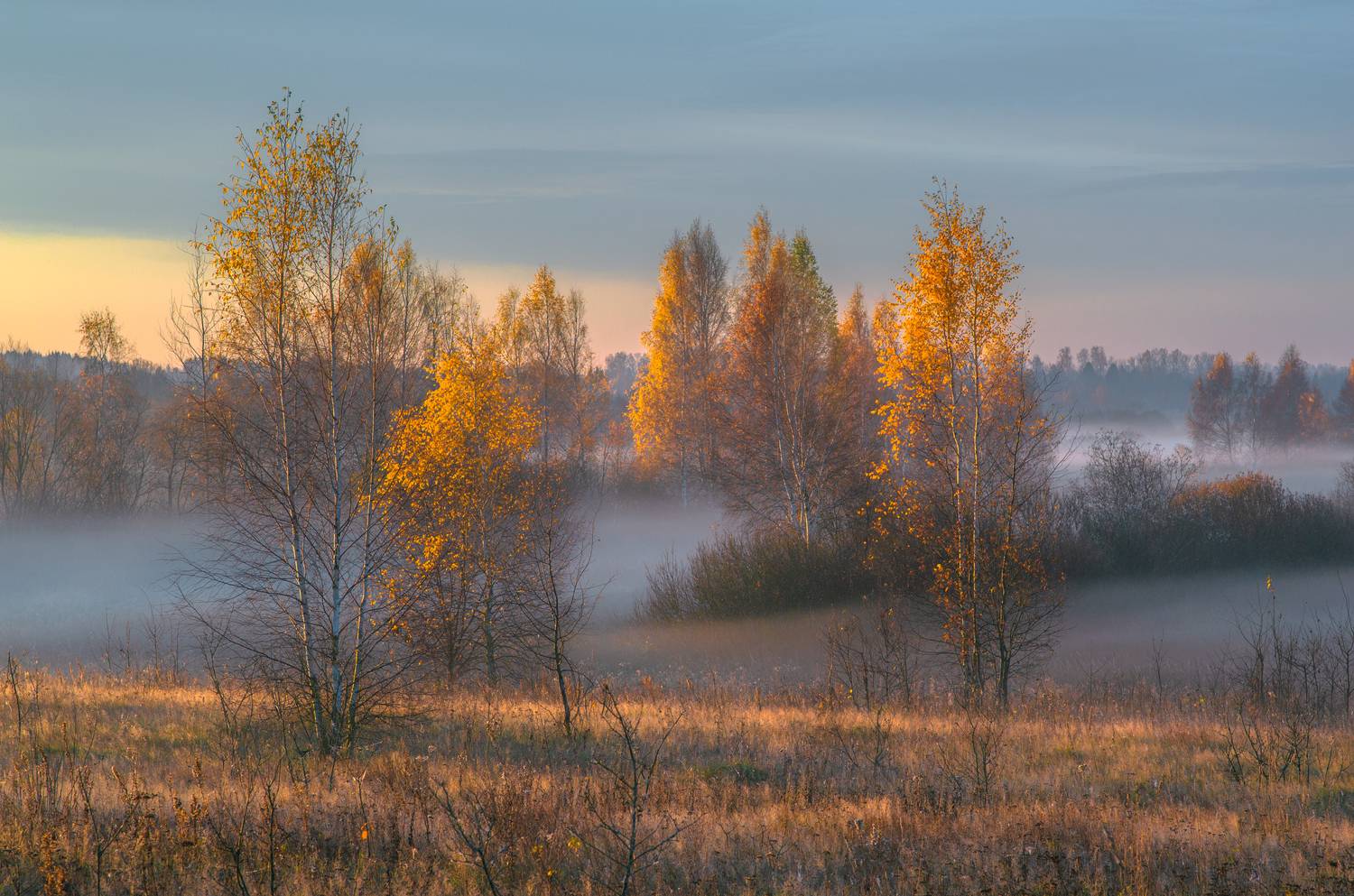 , Руслан Авдевич