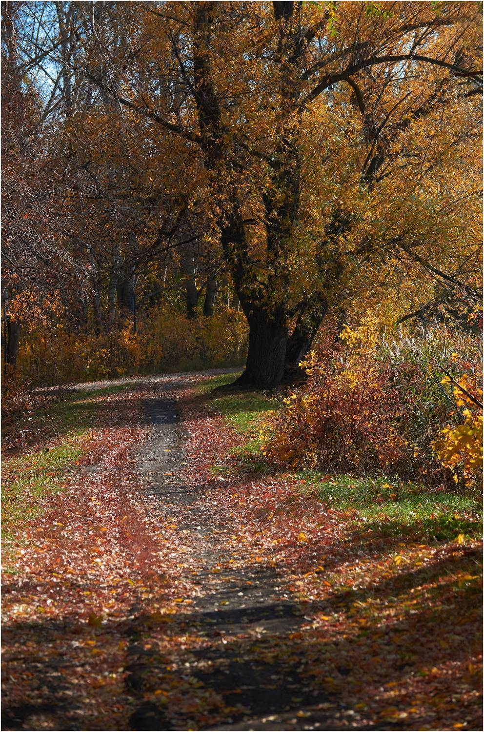 , Владимир Краснов