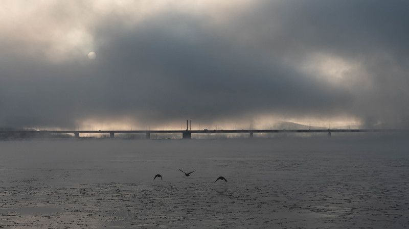 В тумане фото превью