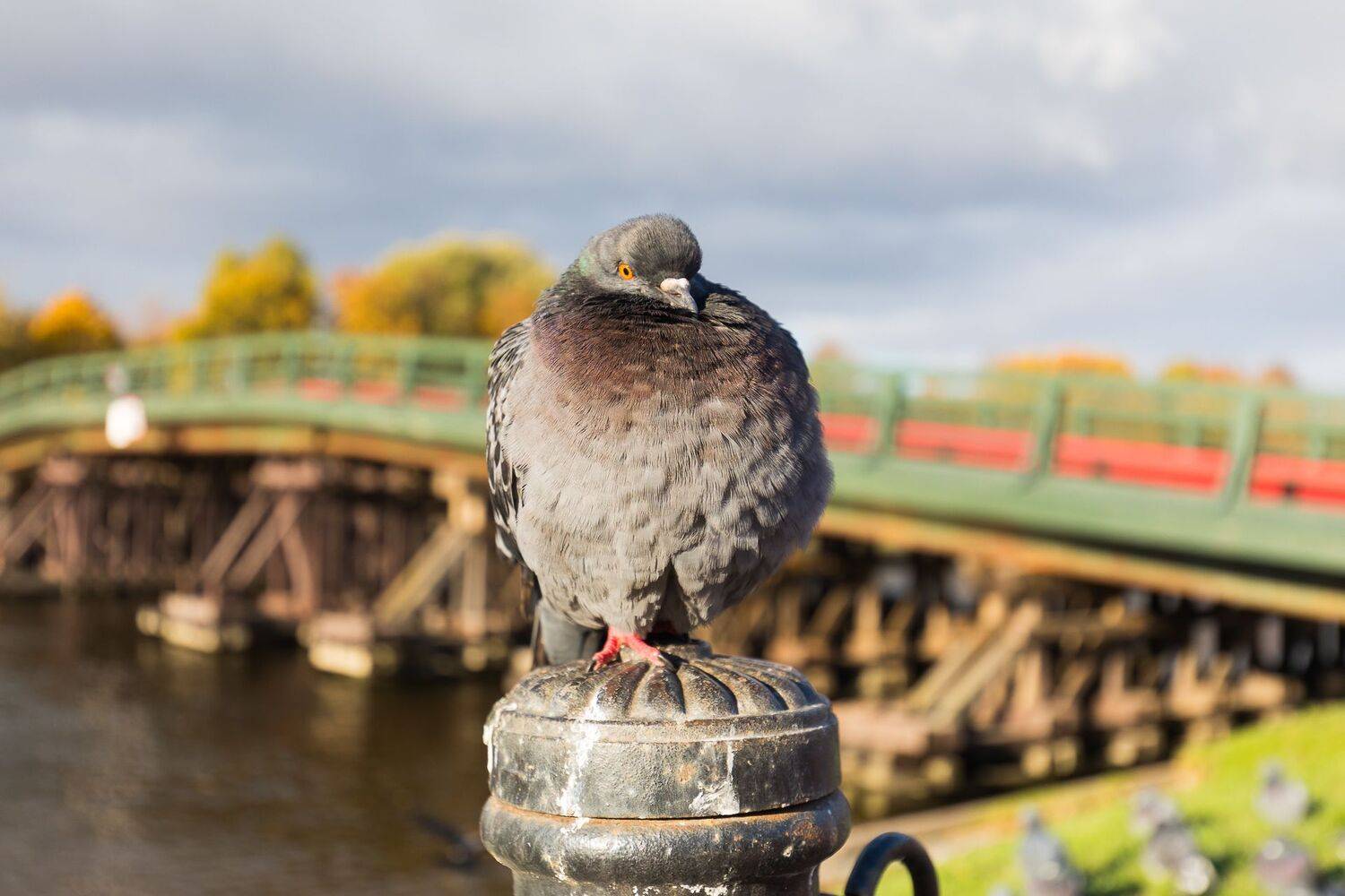 , Гильманов Артур