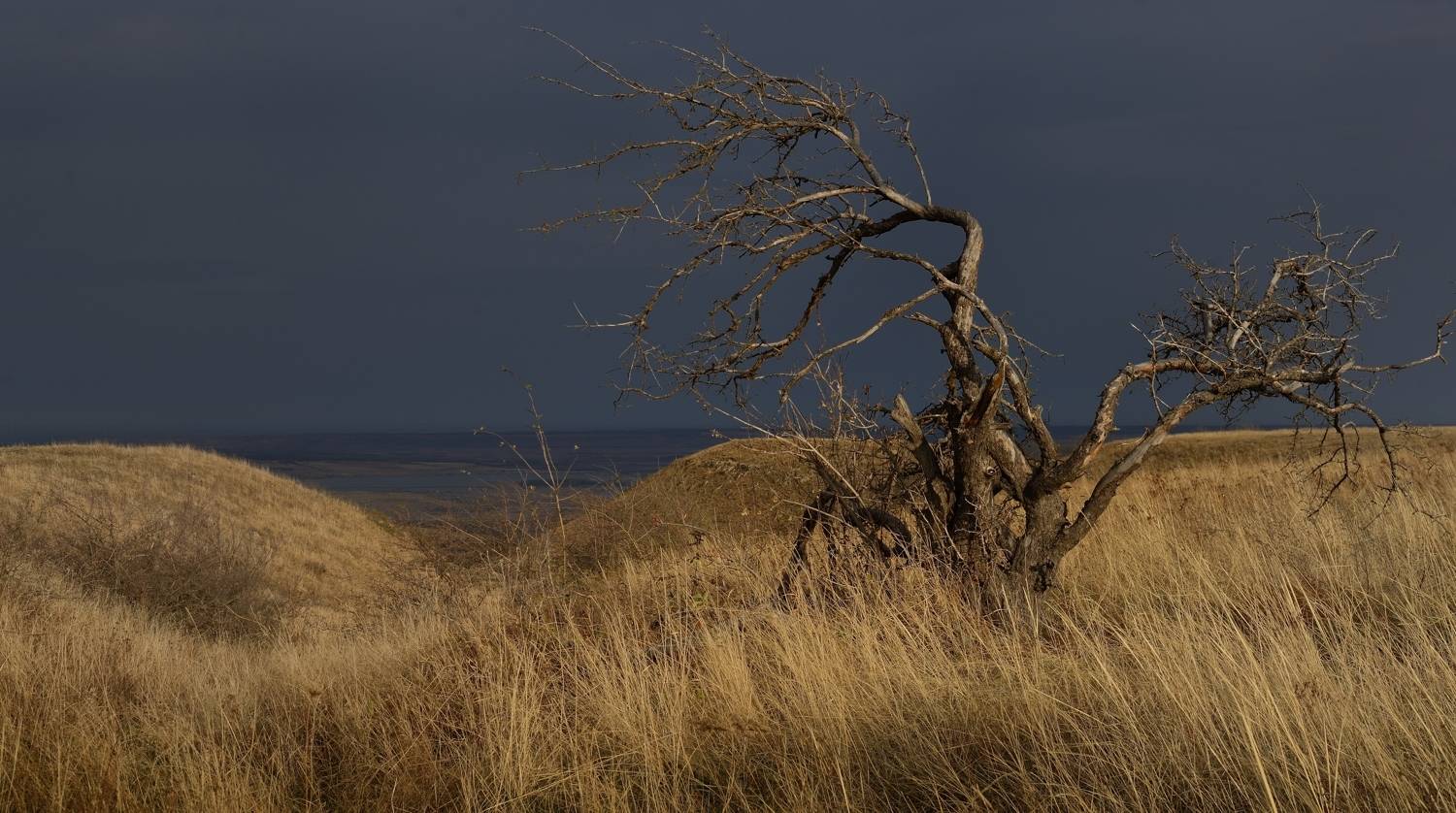 , Александр Жарников