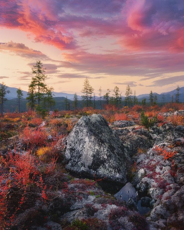 *** фото превью