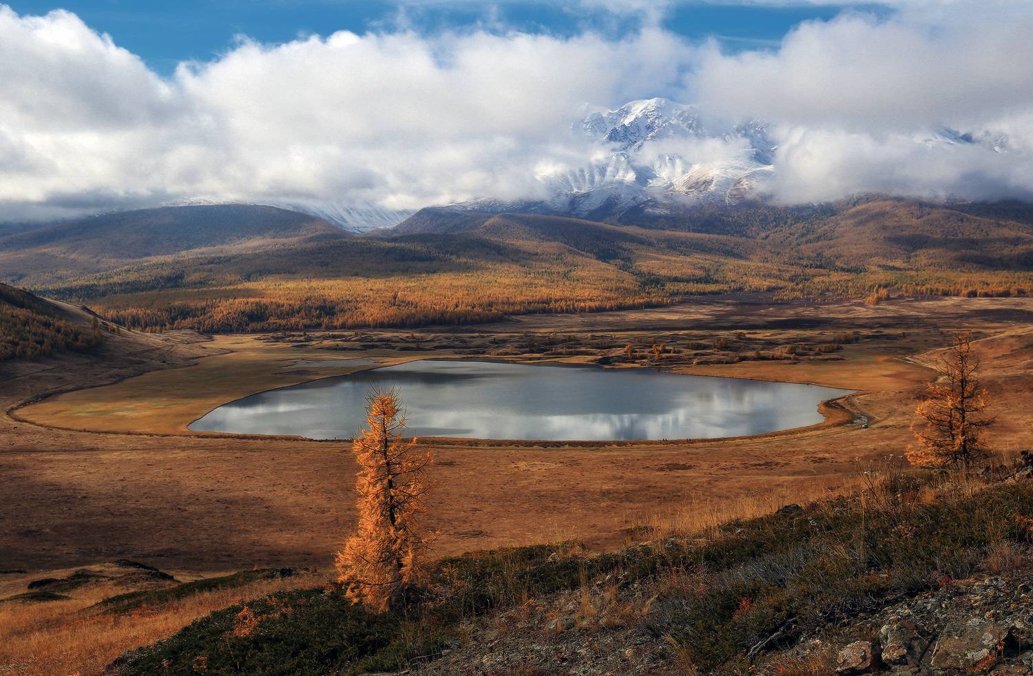Алтай, Горный Алтай, Республика Алтай, Джангыскёль, Галина Хвостенко