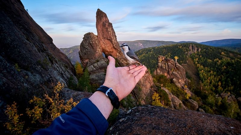 красноярские столбы, столбы, красноярск Пернатый друг фото превью