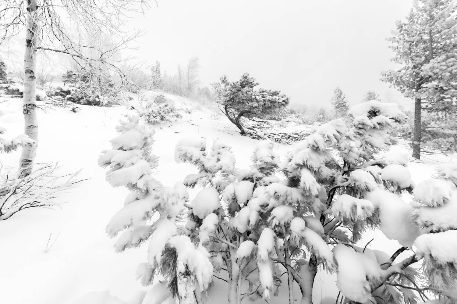 , Денис Лубсанов