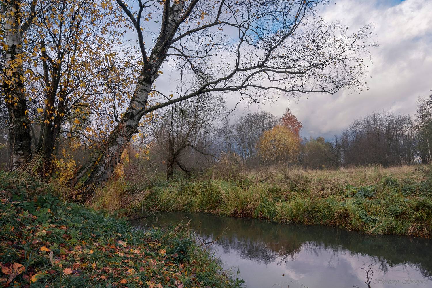 , Болеско Виктор