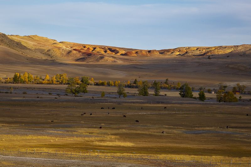 горный алтай, марс, пейзаж, осень, Есть жизнь на Марсе. фото превью