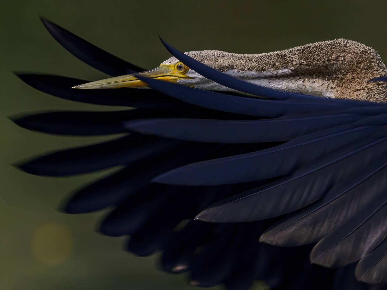 , Пупонин Сергей