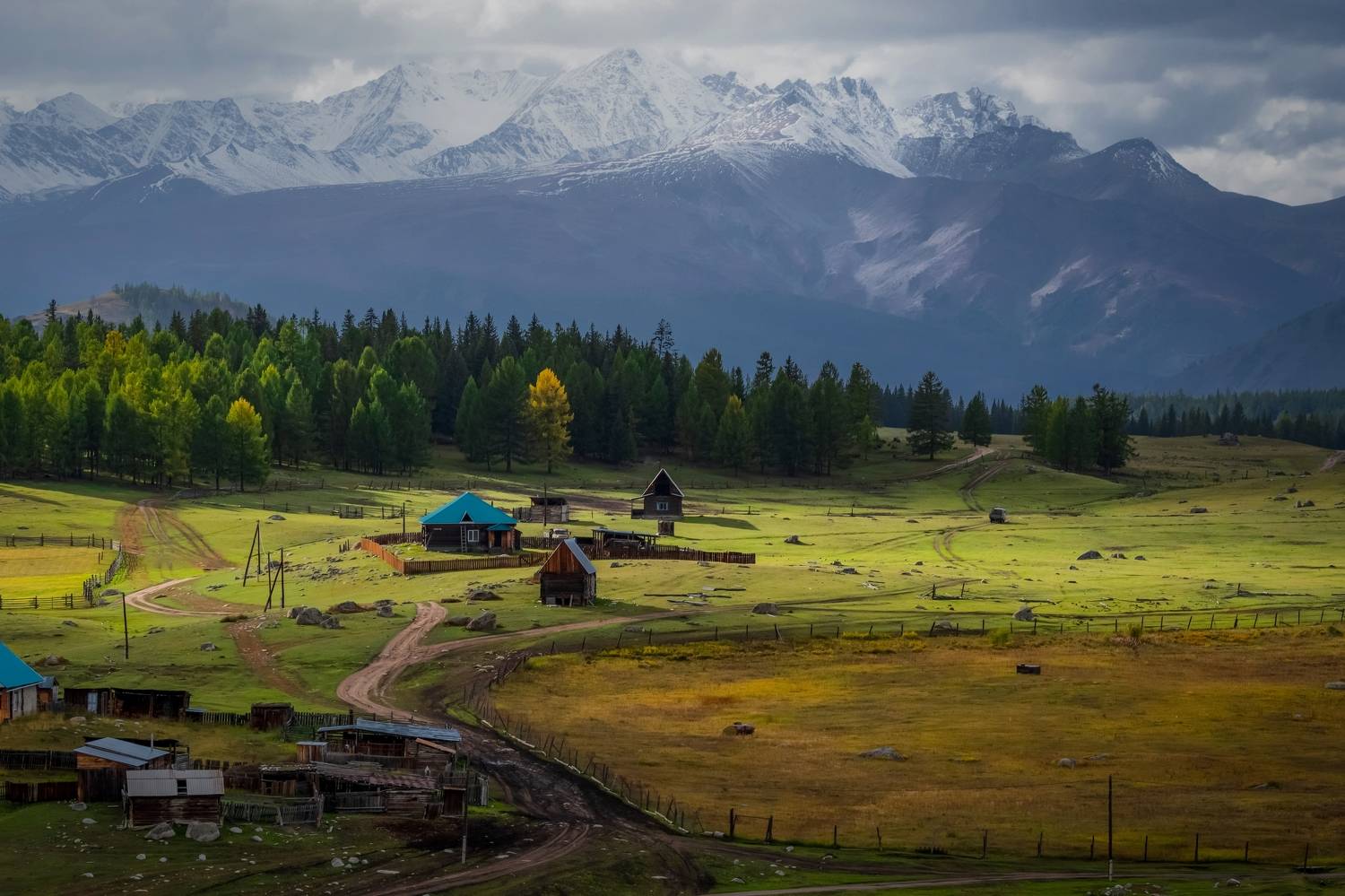 , Tatiana Meshcheryakova