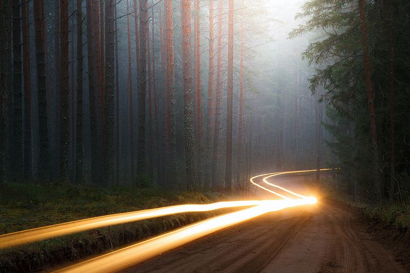 валдай Очередная «Дорога на Валдай». Ноябрь во туманном лесу фото превью