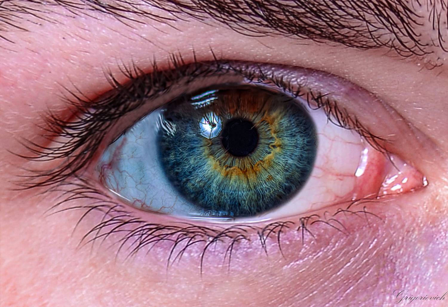 глаз. ресницы.радужная оболочка, Урасов Олег