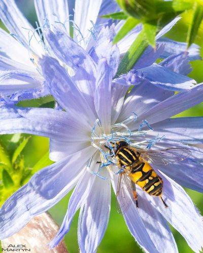 Время десерта