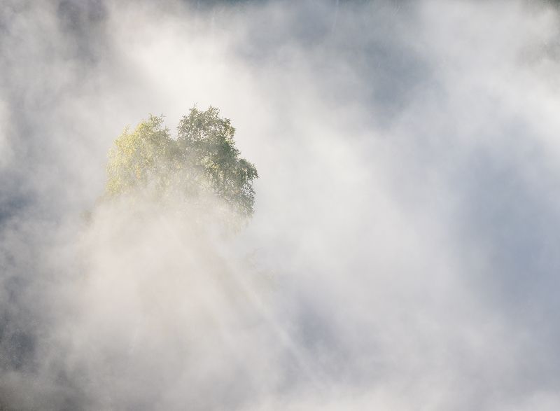 ...В туманном свете.. фото превью