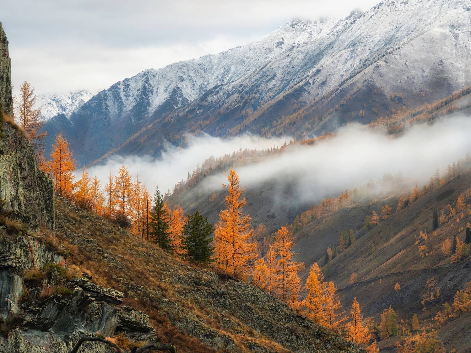 алтай аргут туман путешествие туризм горы сибирь горныйтуризм осень, Саблин Станислав