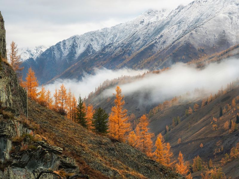 Преддверие зимы на Алтае.  фото превью