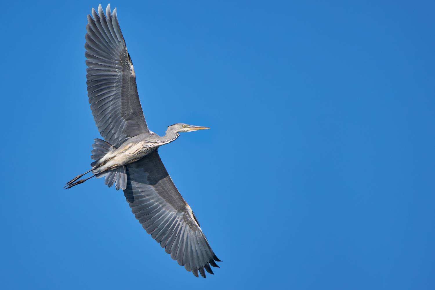 , Александр Семенов