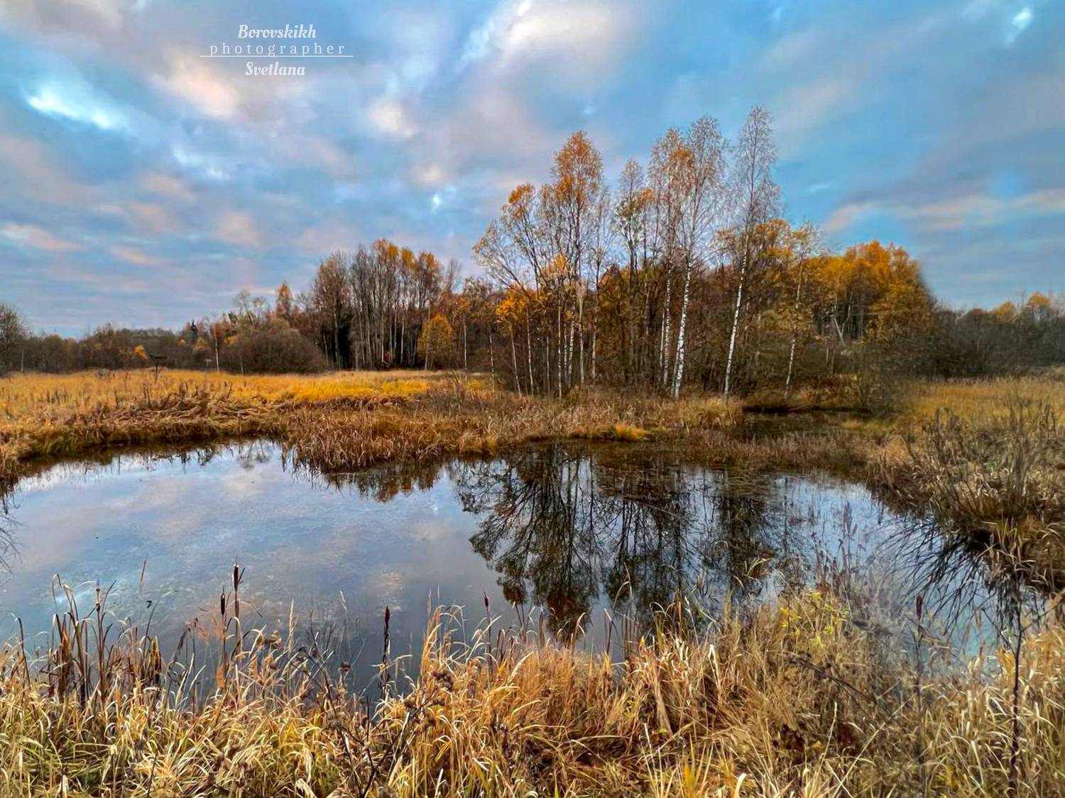 пейзаж, природа, осень, водоём, болото, Светлана Боровских