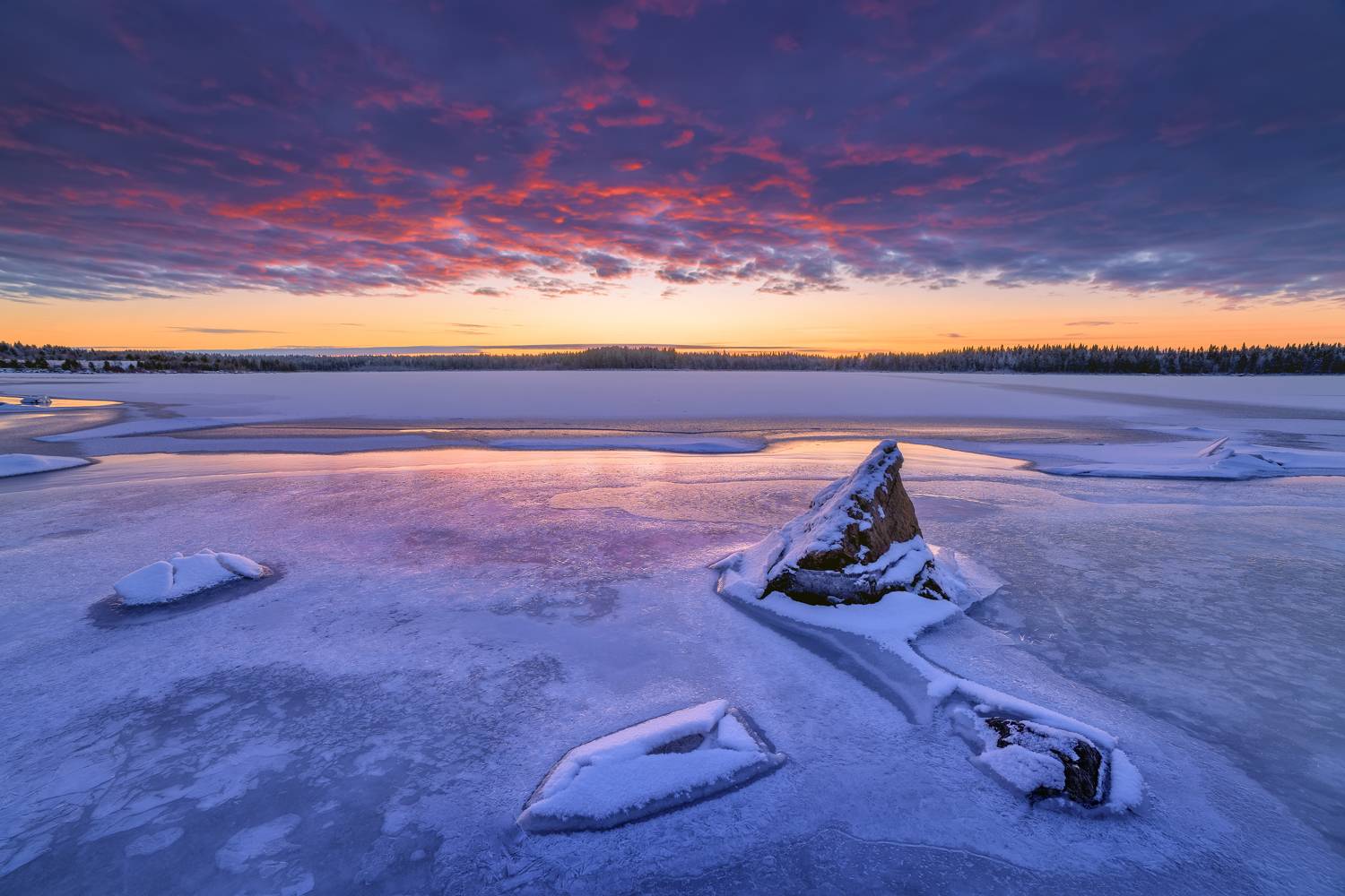 , Максим Евдокимов