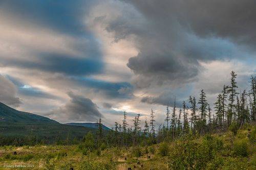 Про бег облаков