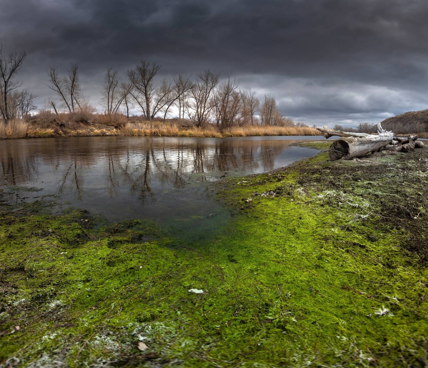 , Антонов Антон