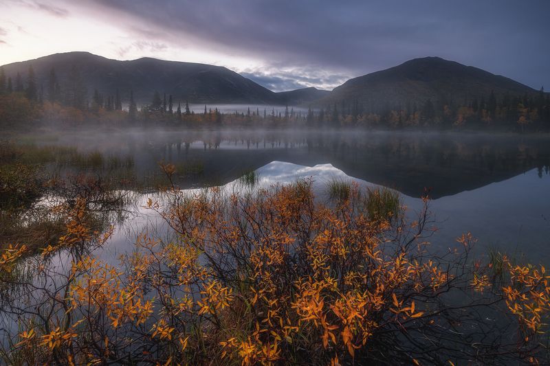 хибины озеро осень природа пейзаж россия кольский туман утро khibiny lake autumn nature landscape kola fog Осень на полигональных озерах фото превью