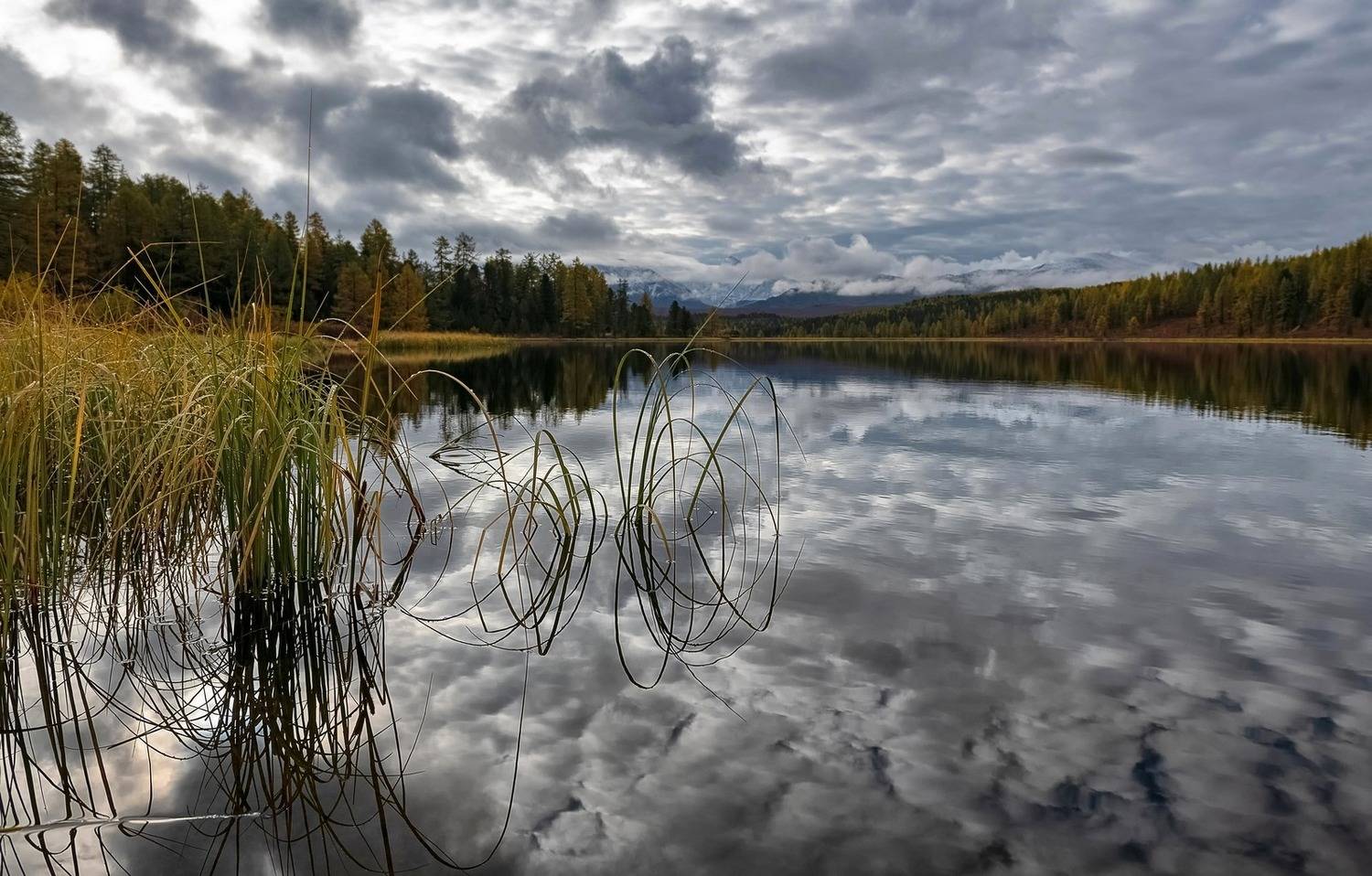 алтай 2023, осень, рассвет, озеро киделю, Фомина Марина