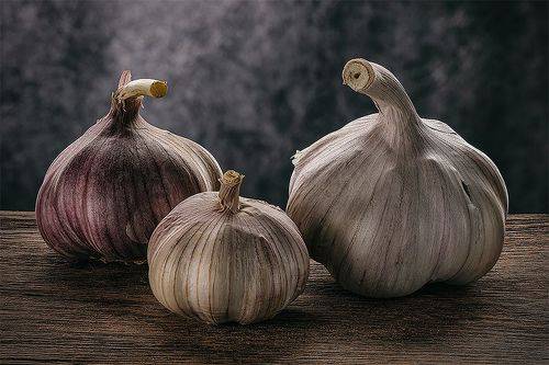 AGLIO