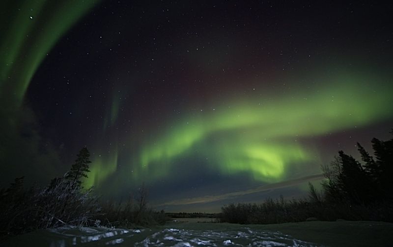северное сияние, полярное сияние, мороз, ночь, сосны, север, небо, звезды, зима, снег, природа «Пламя в ночи» фото превью