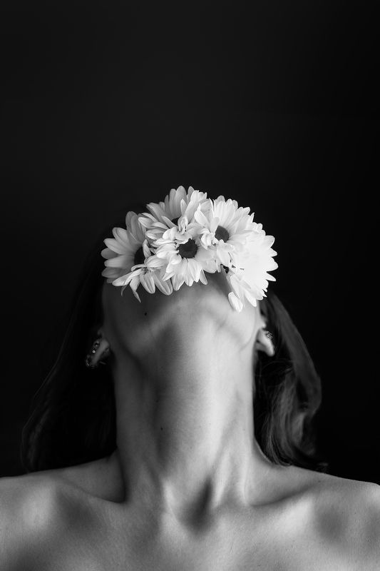 Like a poem  фото превью